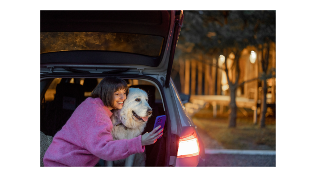 How to Travel with a Dog - Choose Suitable Transportation
