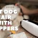 How to Cut Dog Hair at Home